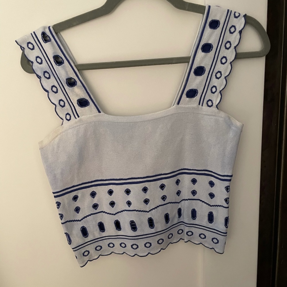 Cropped 10 Crosby blue and white top